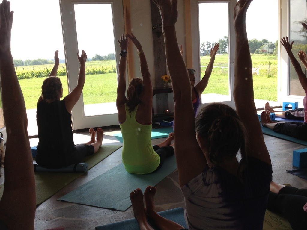 Vinyasa in the Vineyard - Snow Farm Vineyard & Winery