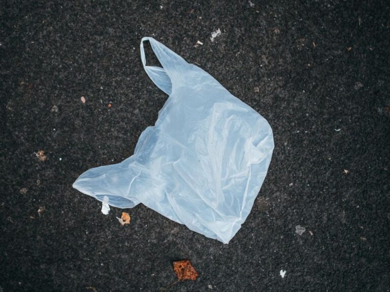 plastic bag lying on pavement