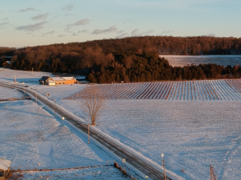 vermont vineyard winter snow aerial