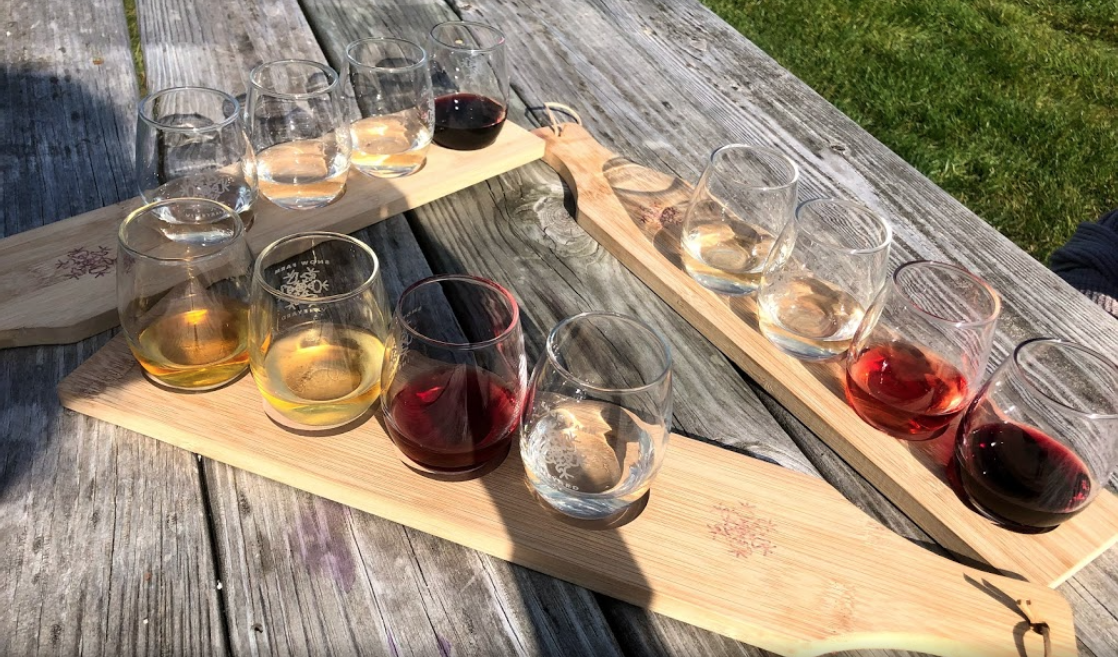 wine flight on a picnic table with vermont wine types