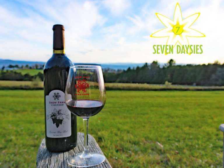 seven daysies logo with picture of wine glass with mountains behind
