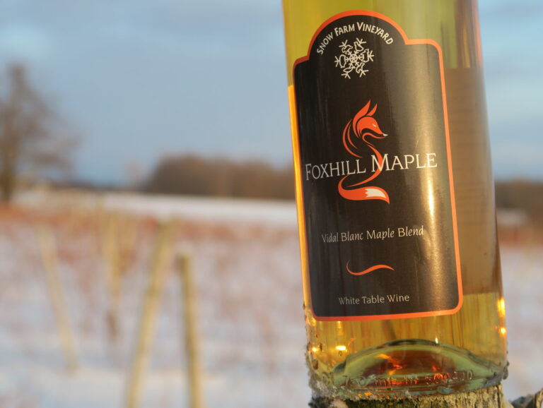 Vermont wine bottle in winter with vineyard in background