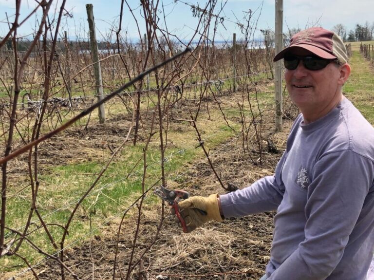 spring pruning with patrick and spring wines