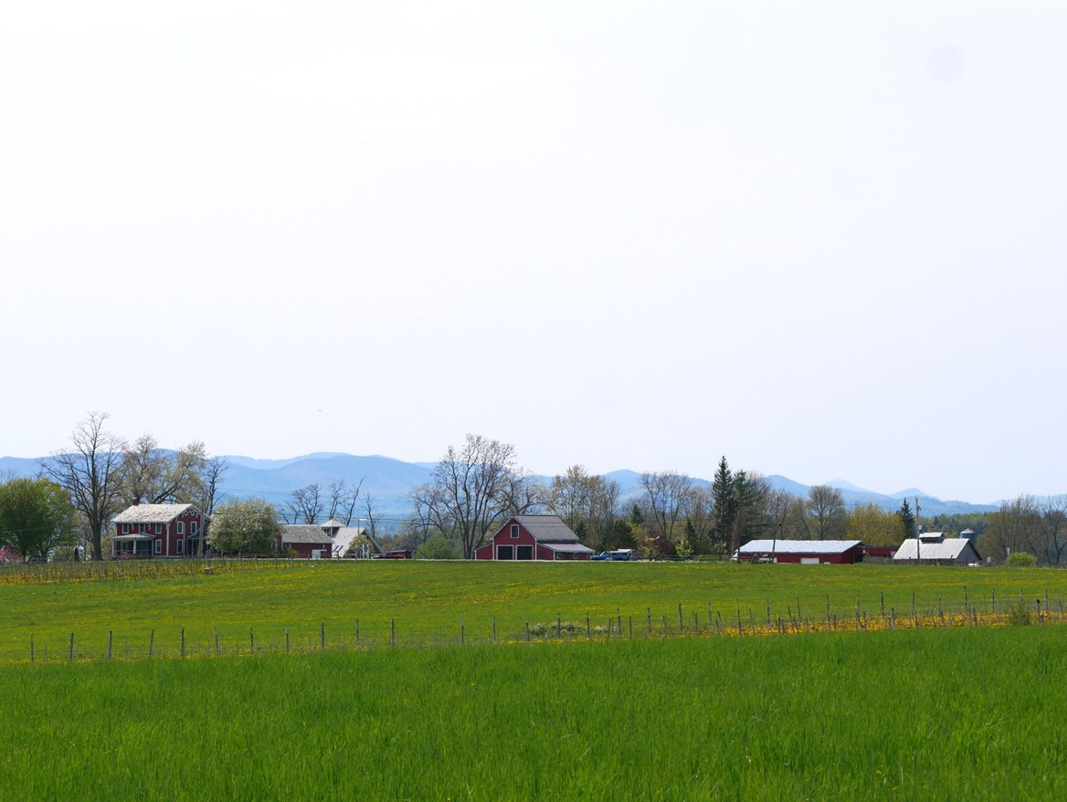 vermont scenic drives spring in a vineyard