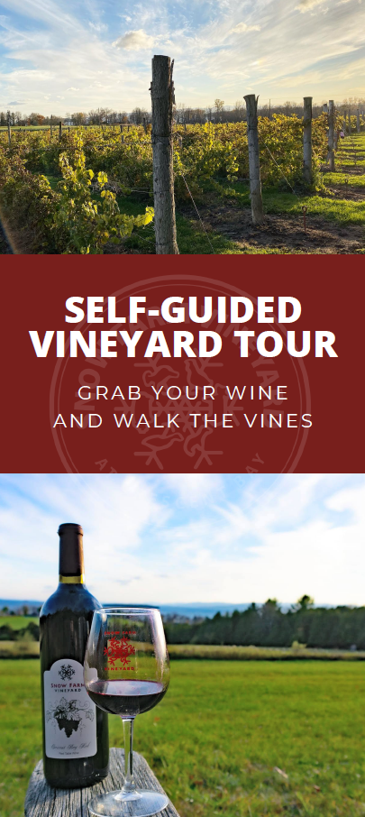 Vineyard tour guide