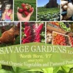 savage gardens North Hero Vermont